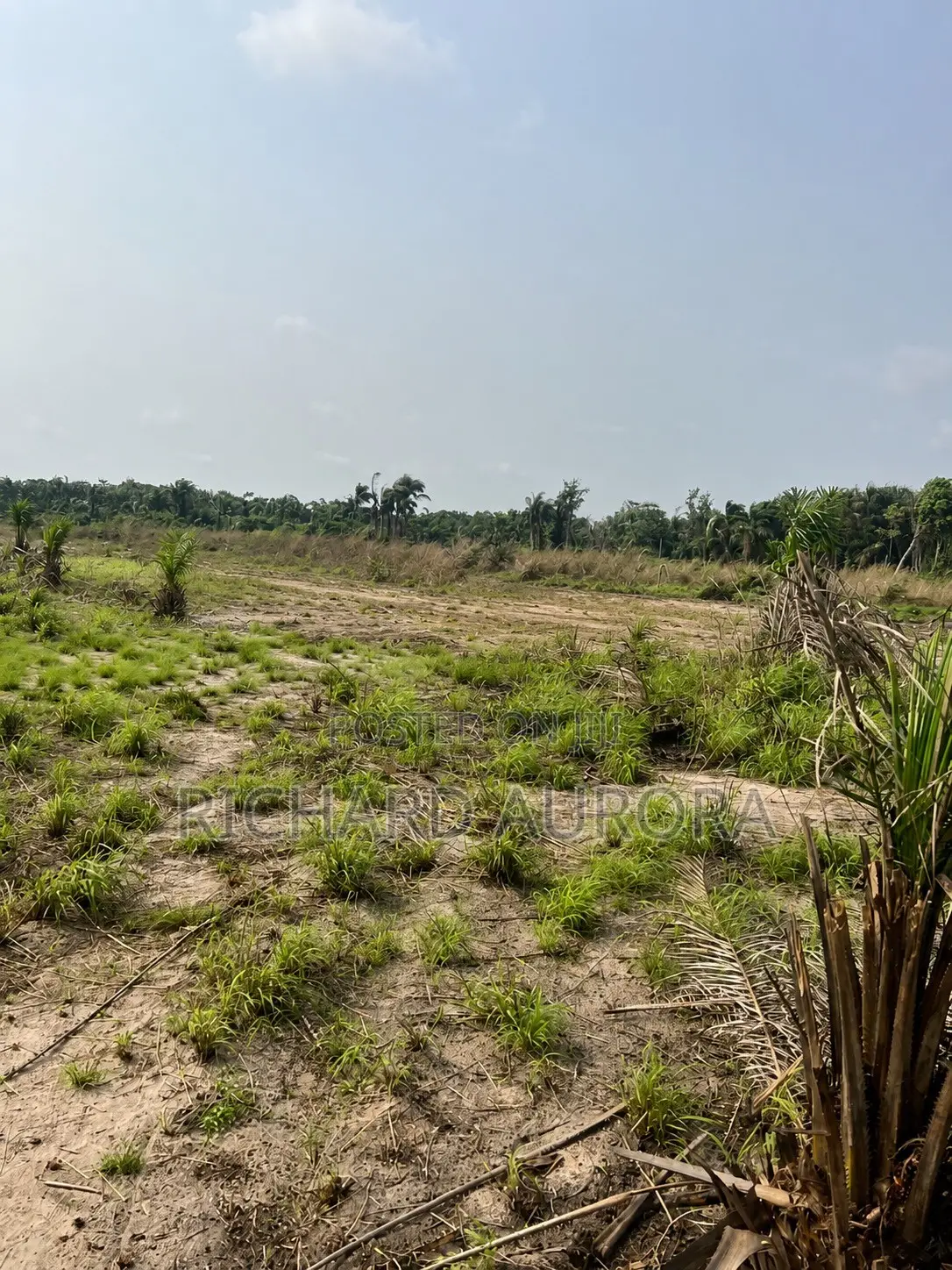 Landed Property