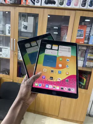 Apple iPad Pro 10.5 (2017) 256 GB Gray