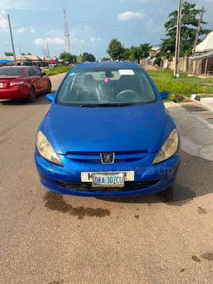 Peugeot 307 2005 Blue