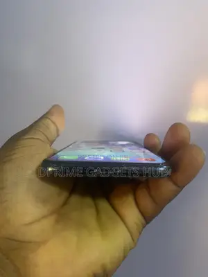 Apple iPhone 11 Pro Max 256 GB Gray