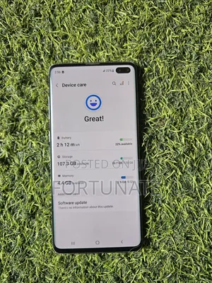Samsung Galaxy S10 Plus 128 GB Blue