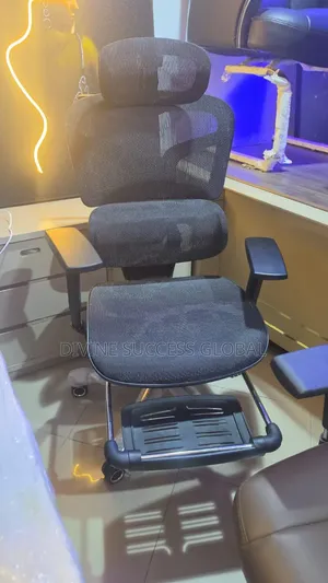 Top Quality Orthopedic and Ergonomic Office Chair With Footrest
