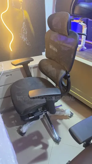 Top Quality Orthopedic and Ergonomic Office Chair With Footrest