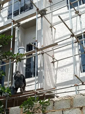 Adelove Strong Gravitex Paint