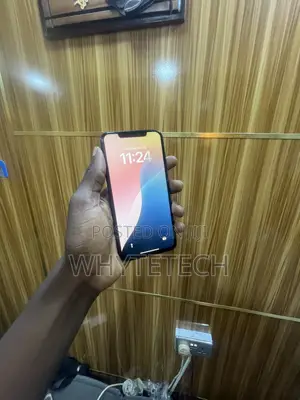 Apple iPhone 11 Pro Max 64 GB Gray
