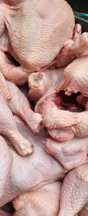 Farm Fresh Chicken and Eggs