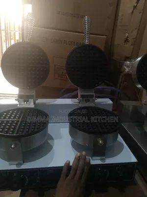 Double Waffle Maker
