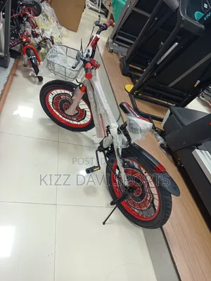 Children Bicycle Brand New 5 Years to 15 Years