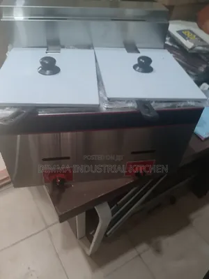 Double Tank 10L Gas Deep Fryer