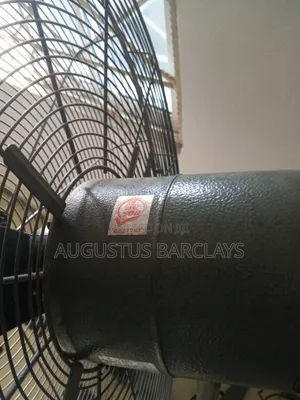 Standing Fan