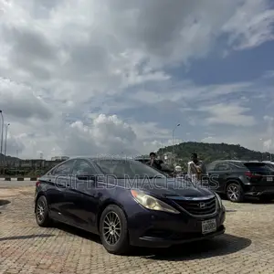 Hyundai Sonata 2010 Purple