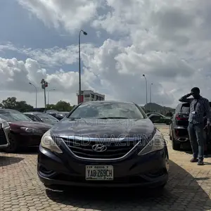 Hyundai Sonata 2010 Purple
