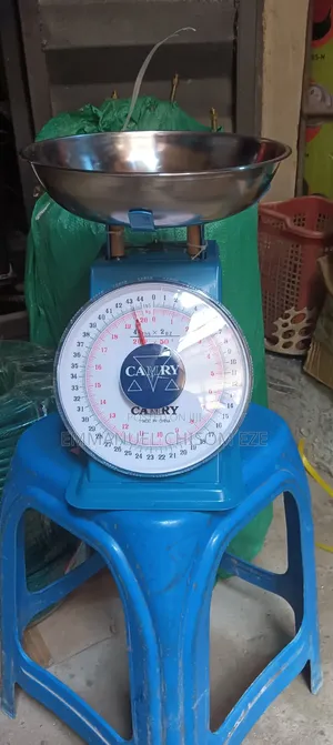 Camry Mechanical Kitching Weighing Scale