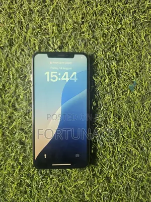 Apple iPhone XS Max 256 GB Black