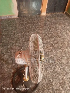Electric Standing Fan
