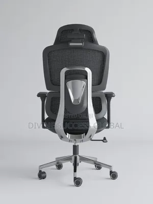 Orthopedic Ergonomic Executive Office Chair