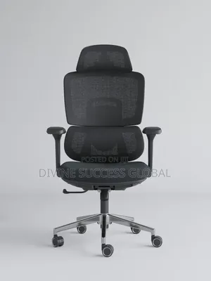 Orthopedic Ergonomic Executive Office Chair