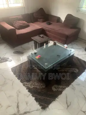 Neatly Used Sofa