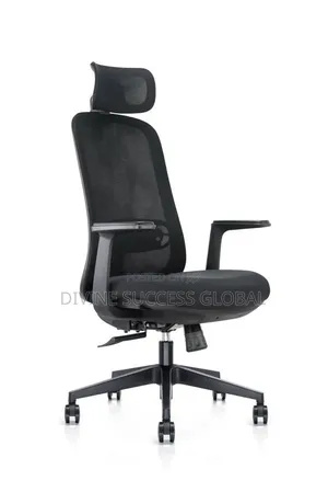 Quality Orthopedic Ergonomic Office Chair