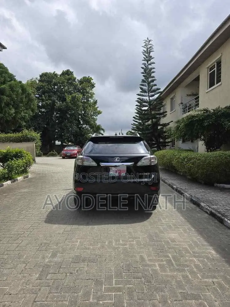 Lexus RX 2013 Black