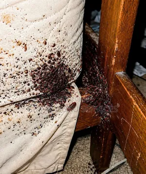 Bed Bug Killer
