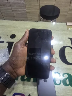 Apple iPhone 15 Pro Max 256 GB Gray