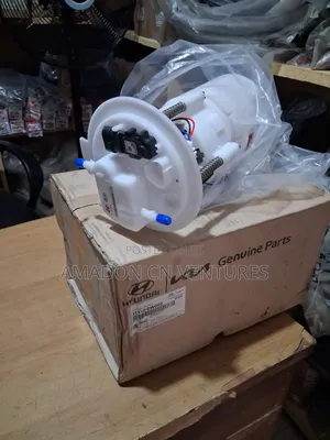 Complete Fuel Pump Hyundai Santafe America