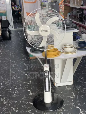 DSP Rechargable Fan