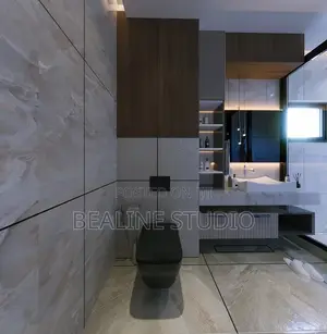 Toilets Remodeling to My Clients Taste