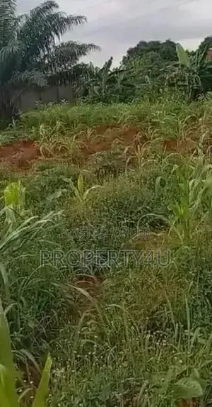 Two Plots of Land With C of O for Sale at Iyana Iyesi, Ota.