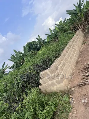 Half Plot of Land With 3-Bedroom Flat Foundation for Sale at Omi Apata