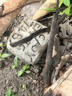 1 Plot of Land