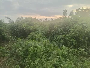 3 Plots of Land for Sale Oke Odu