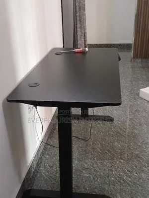 Electric Adjustable Height Standing Desk