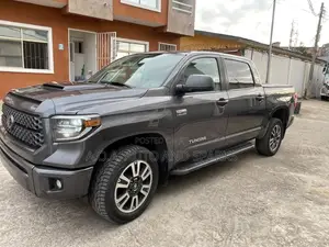 Toyota Tundra 2022 Gray