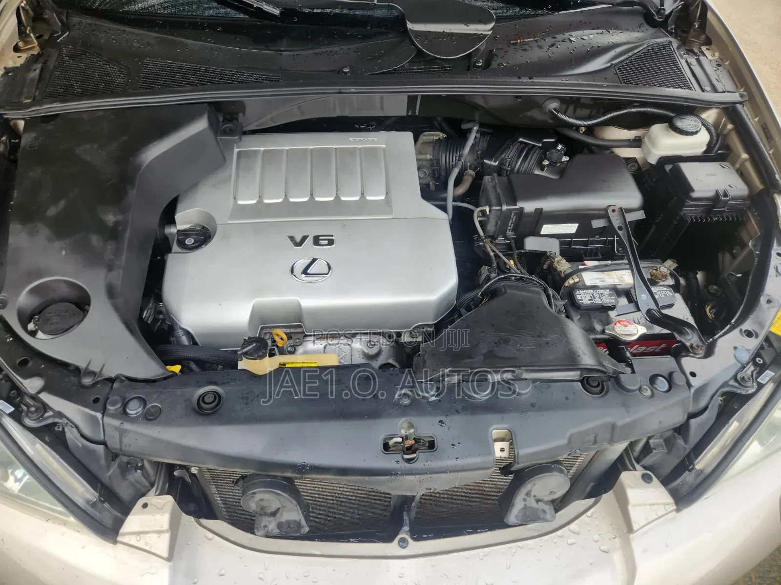Lexus RX 2008 Pearl