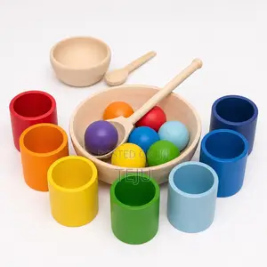 Montessori Wooden Shape Sorting Toy for Toddlers
