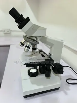 Microscope