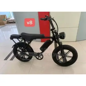 Electric Bycicle