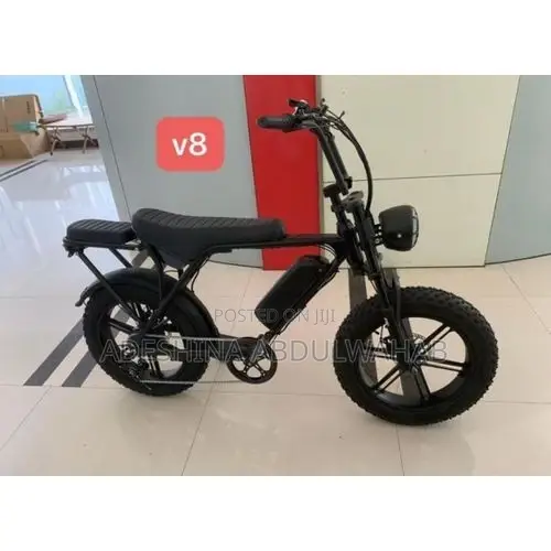 Electric Bycicle