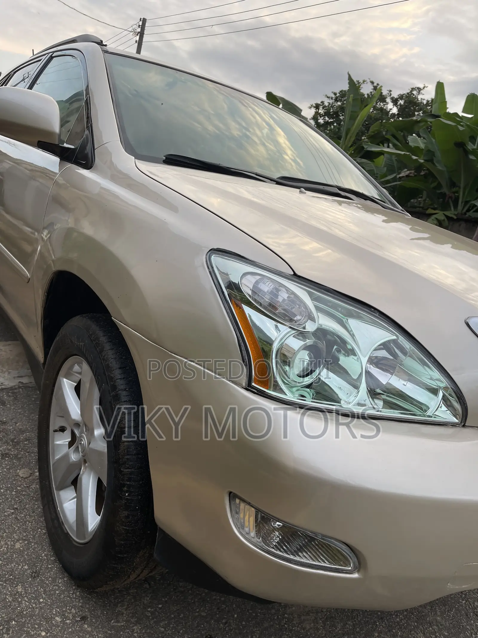 Lexus RX 330 4WD 2005 Gold