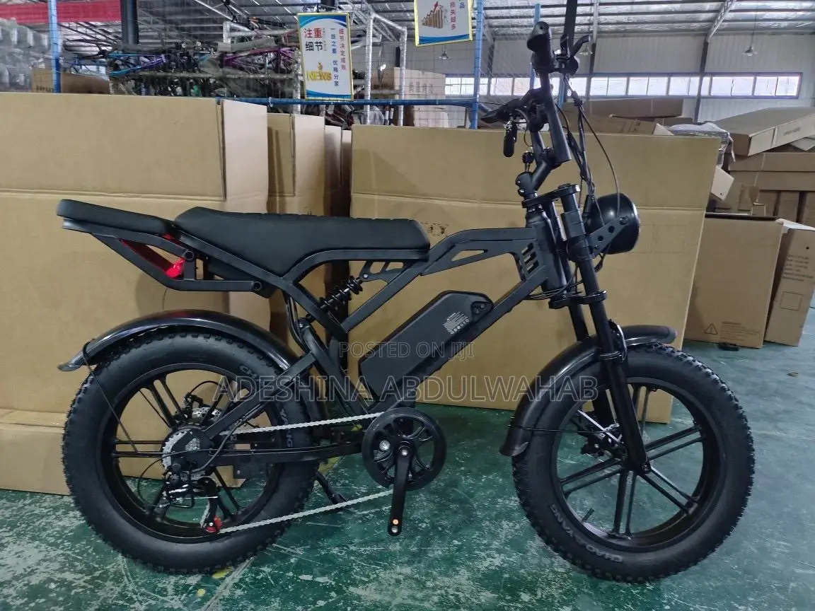 Electric Bycicle