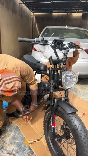 Electric Bycicle