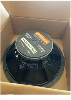 Omax 15inchs Naked Speaker