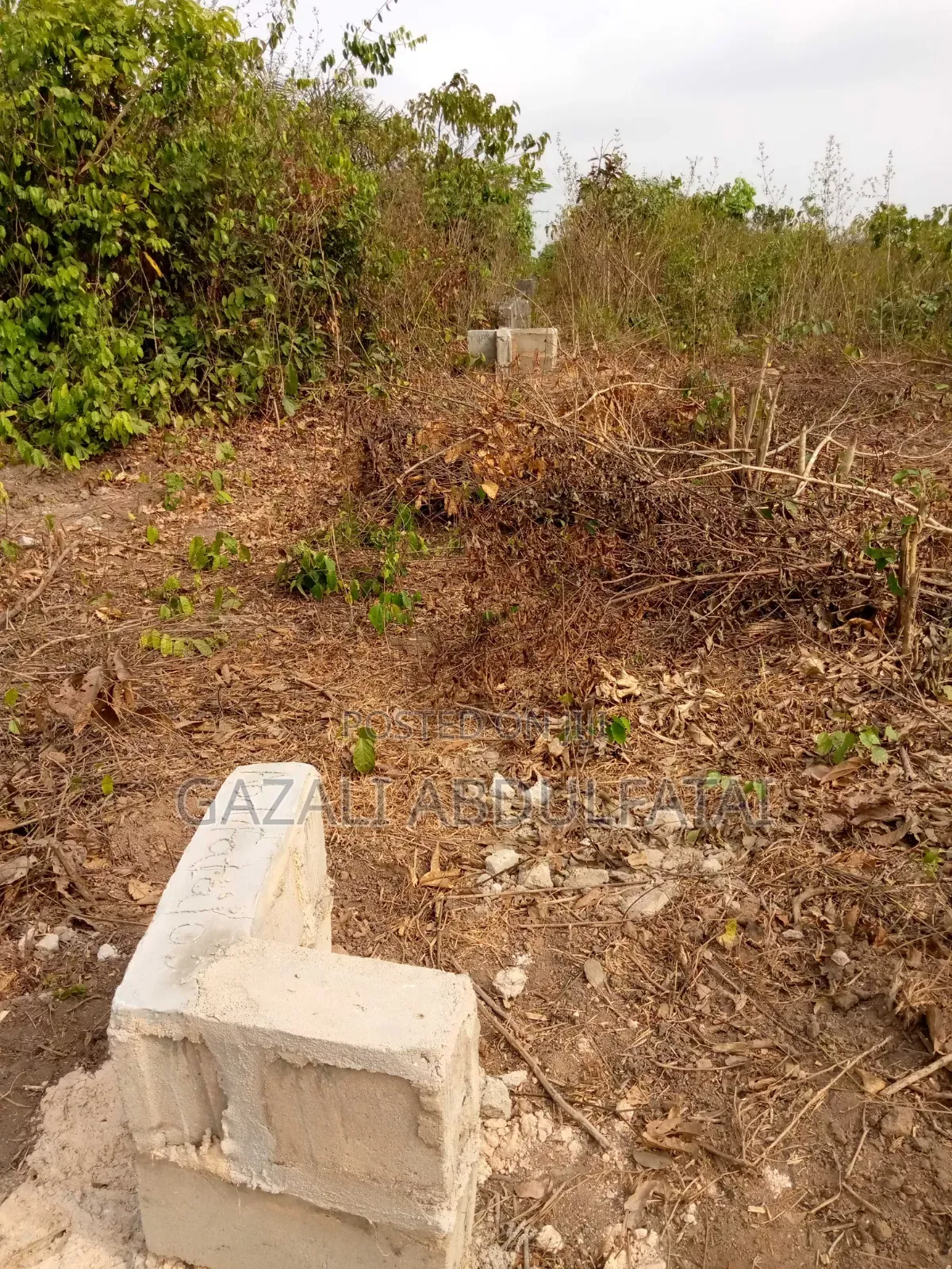 Half Plot of Land Hi