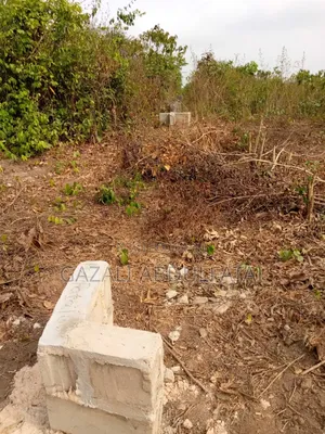 Half Plot of Land Hi