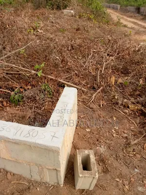 Half Plot of Land Hi
