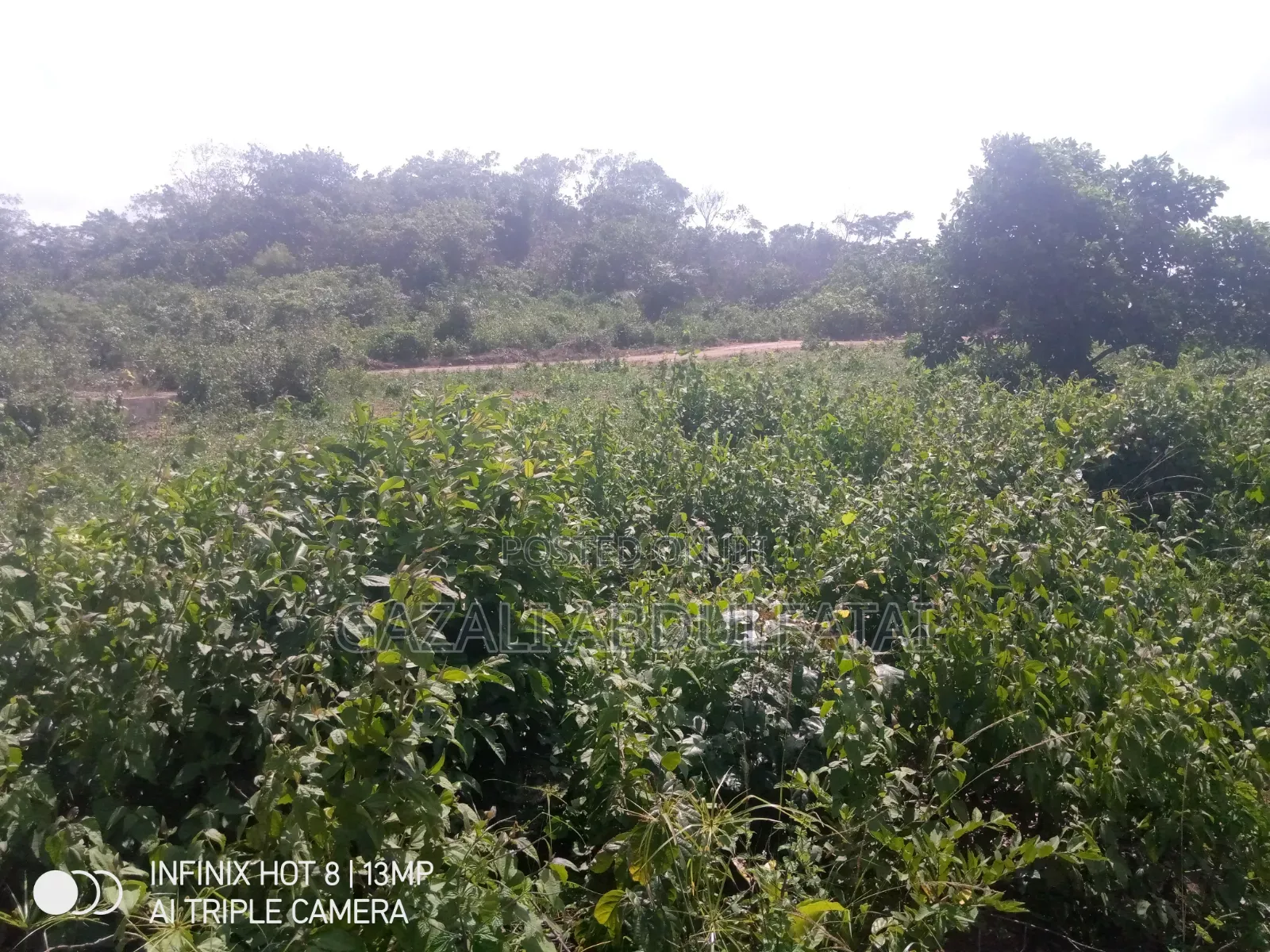 Half Plot of Land Hi