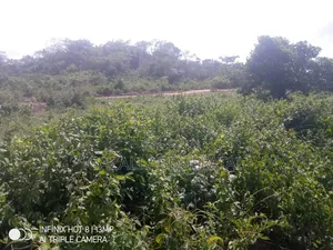 Half Plot of Land Hi