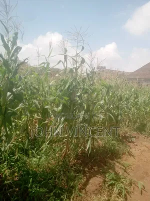 Landed Property for Sale